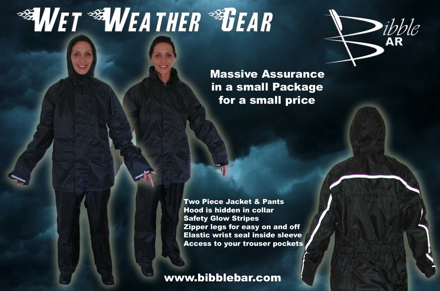 Specials MotorCycle Luggage and Sissy Bar Bibble Bar